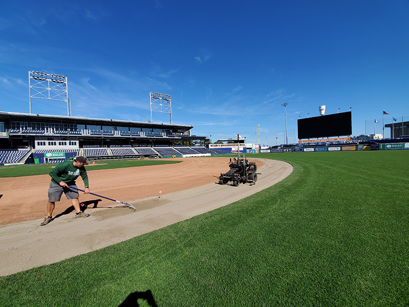 Dunkin Donuts Park  Championship Turf Services